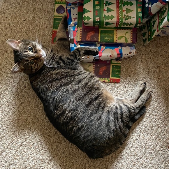 Hi lovelies, I'm Ashleigh! - Picture 5 of 9